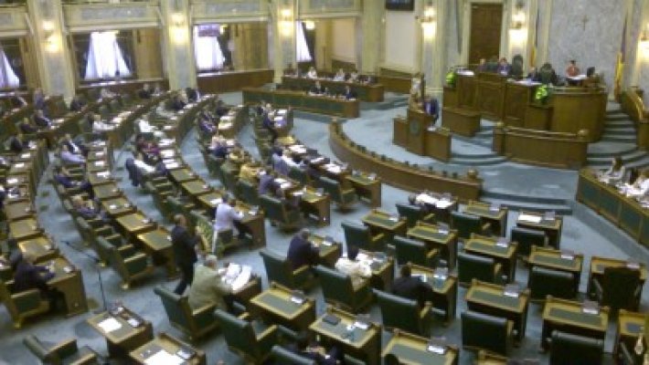 PNL a depus o coroană de flori în plenul Senatului - imagini